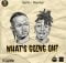 Ayanfe – What’s Going On ft. Mayorkun mp3 download free