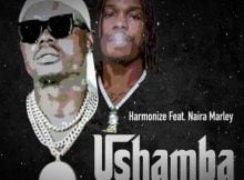 Harmonize – Ushamba (Remix) ft. Naira Marley mp3 download free