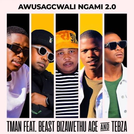 T-Man - Awusagcwali Ngami 2.0 ft. Beast RSA, BizaWethu, ACE & Tebza mp3 download free lyrics