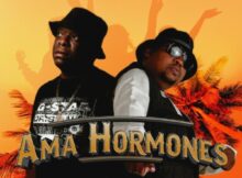 Diliza - Ama Hormones ft. Professor mp3 download free lyrics