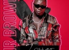 Mr Brown – Dithapelo Ft. Nomcebo Zikode, Master Chuza & Tamy Moyo mp3 download free lyrics