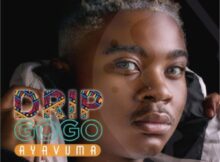 Drip Gogo – Ayavuma ft. DJ Sumbody & The Lowkeys mp3 download free lyrics