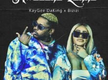 Kaygee DaKing & Bizizi – Inkwari ft. Just Bheki & TNS mp3 download free lyrics