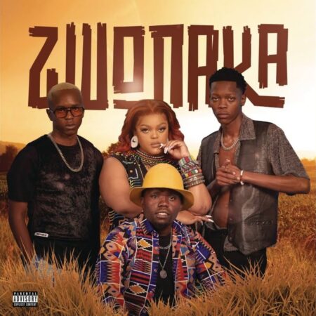 Mellow & Sleazy - Zwonaka ft. DBN Gogo & Dinho mp3 download free lyrics