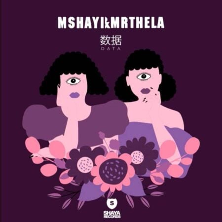 Mshayi & Mr Thela - Data mp3 download free lyrics