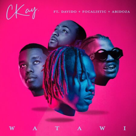 CKay – Watawi ft. Abidoza, Davido & Focalistic mp3 download free lyrics