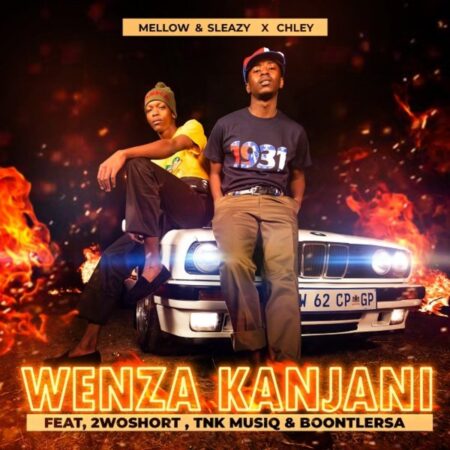 Mellow & Sleazy – Wenza Kanjani ft. Chley, 2woshort, TNK MusiQ & Boontle RSA mp3 download free lyrics