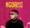 Ntate Stunna – Ngoano Dese mp3 download free lyrics