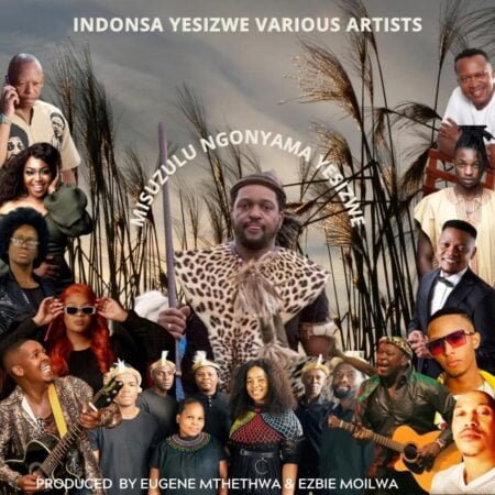 Indonsa Yesizwe – Misuzulu Ngonyama Yesizwe ft. Lady Du, Phuzekhemisi, Mbuzeni, Sbu Banda, Nkiyase, FreyMusiQ, Liyasa, Mageba, Simply Eugene & Ezbie mp3 download free lyrics