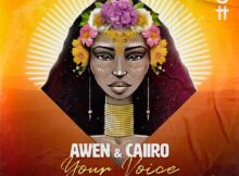 Awen & Caiiro - Your Voice (Adam Port Remix) mp3 download free lyrics