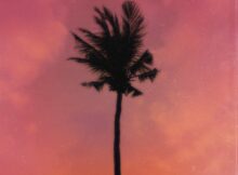 Jay Jody, A-Reece & Marcus Harvey – Purple Palm Trees mp3 download free lyrics