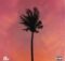 Jay Jody, A-Reece & Marcus Harvey – Purple Palm Trees mp3 download free lyrics