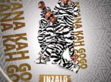 Mfana Kah Gogo - Iminawe Ft. Big John, Fezeka Dlamini, Effective Sounds, Priddy DJ & Teddy Tour mp3 download free lyrics