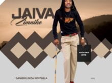 Jaiva Zimnike – Bengithi Ngingedwa mp3 download free lyrics
