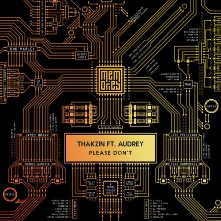 Thakzin – Please Don't ft. Audrey mp3 download free lyrics