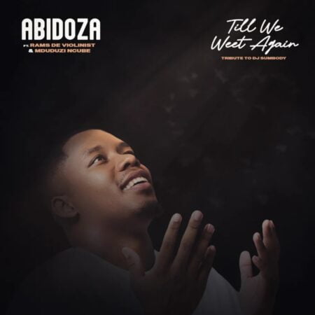 Abidoza - Till We Meet Again (Tribute to Dj Sumbody) ft. Mduduzi Ncube & Rams De Violinist lyrics mp3 download free