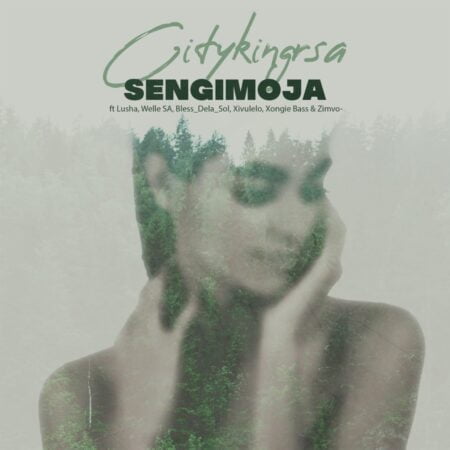 Citykingrsa – Sengimoja ft. Lusha, Xiluvelo, Welle SA, Bless DeLa Sol, Xongie Bass & Zimvo mp3 download free lyrics
