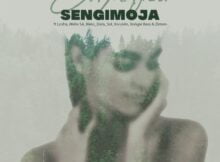 Citykingrsa – Sengimoja ft. Lusha, Xiluvelo, Welle SA, Bless DeLa Sol, Xongie Bass & Zimvo mp3 download free lyrics