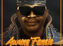 DJ Bongz - Awung'Fanele ft. Nomfundo Moh, Deep Ink & Khani mp3 download free lyrics
