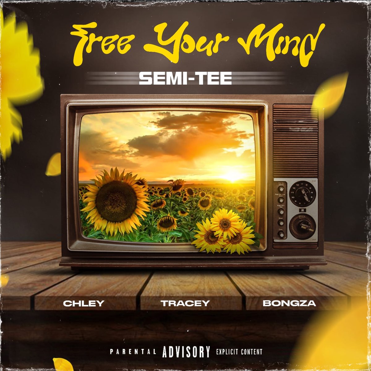 Semi Tee – Free Your Mind ft. Chley, Tracey & Bongza mp3 download free lyrics