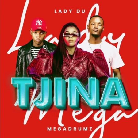 Megadrumz & Lady Du - Tjina mp3 download free lyrics