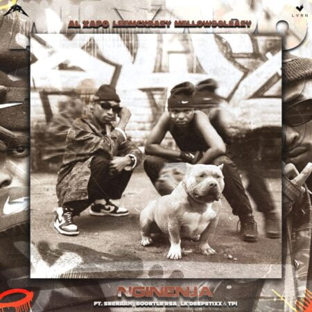 Al Xapo & Leemckrazy - Nginenja ft. Sneenah, Mellow & Sleazy, Boontle RSA & LK Deepstix mp3 download free lyrics