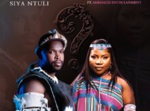 Siya Ntuli – Umbuzo Wodwa ft. Makhadzi mp3 download free lyrics