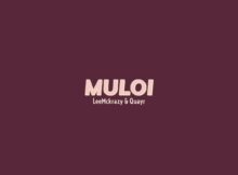 LeeMcKrazy & QuayR – Muloi ft. Pushkin RSA mp3 download free lyrics
