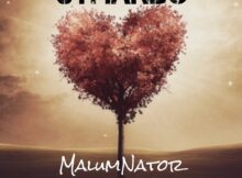 MalumNator – uThando ft. Scotts Maphuma, Ntokzin & Dynamic Duo mp3 download free lyrics