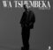 Cooper SA & Small S.P – Wa Tshembeka ft. Tyler ICU & Jay Sax mp3 download free lyrics